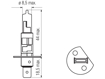 Изображение Bosma lempute H1, P14.5s, 55W, baltos                                                                                                                 